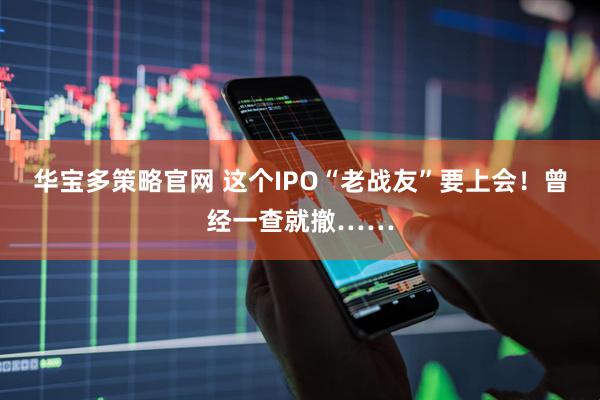 华宝多策略官网 这个IPO“老战友”要上会！曾经一查就撤……