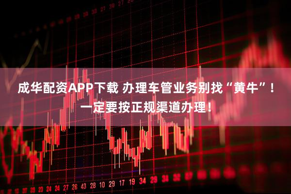 成华配资APP下载 办理车管业务别找“黄牛”！一定要按正规渠道办理！